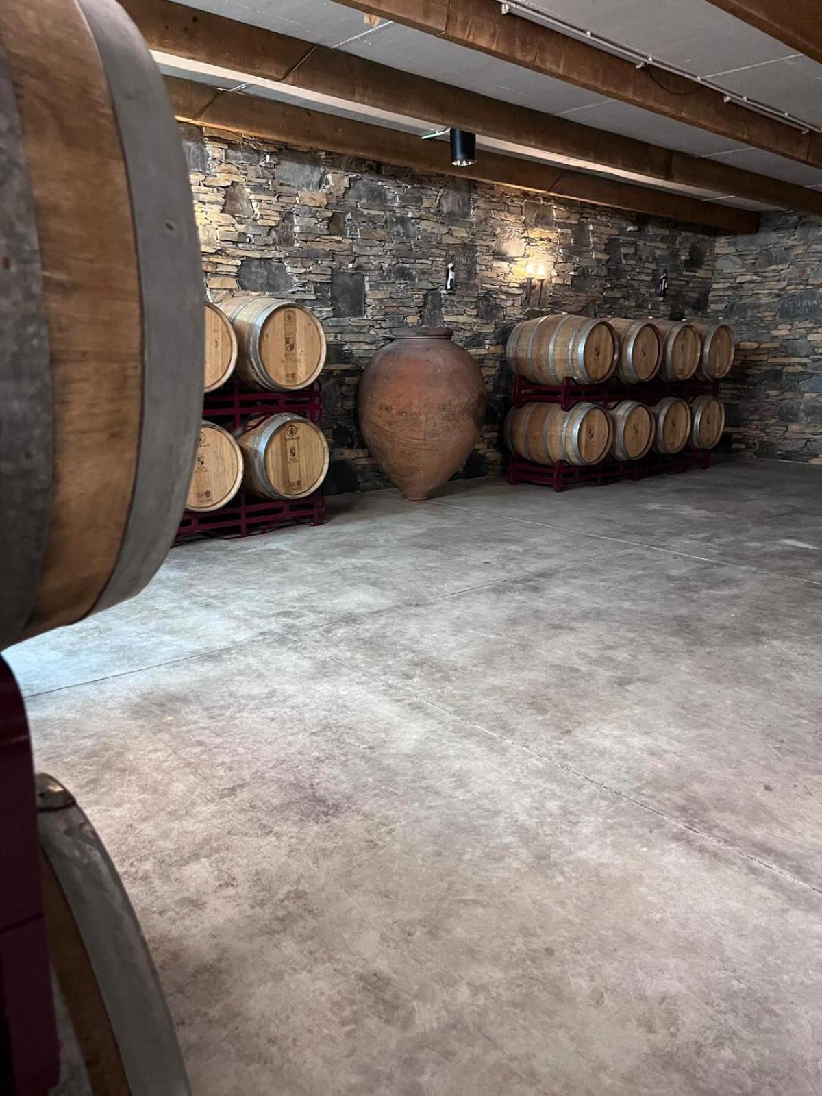 Tranca Da Barriga - Casa Do Vinho By Quinta De Sao Tiago Covilhã Exterior foto